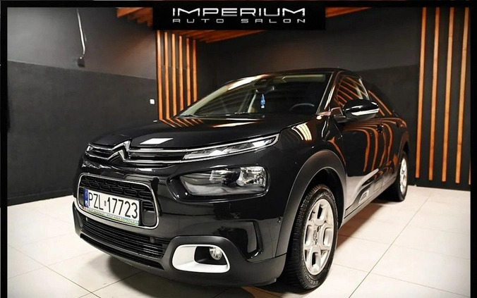 Citroen C4 Cactus cena 59900 przebieg: 15000, rok produkcji 2021 z Tczew małe 277